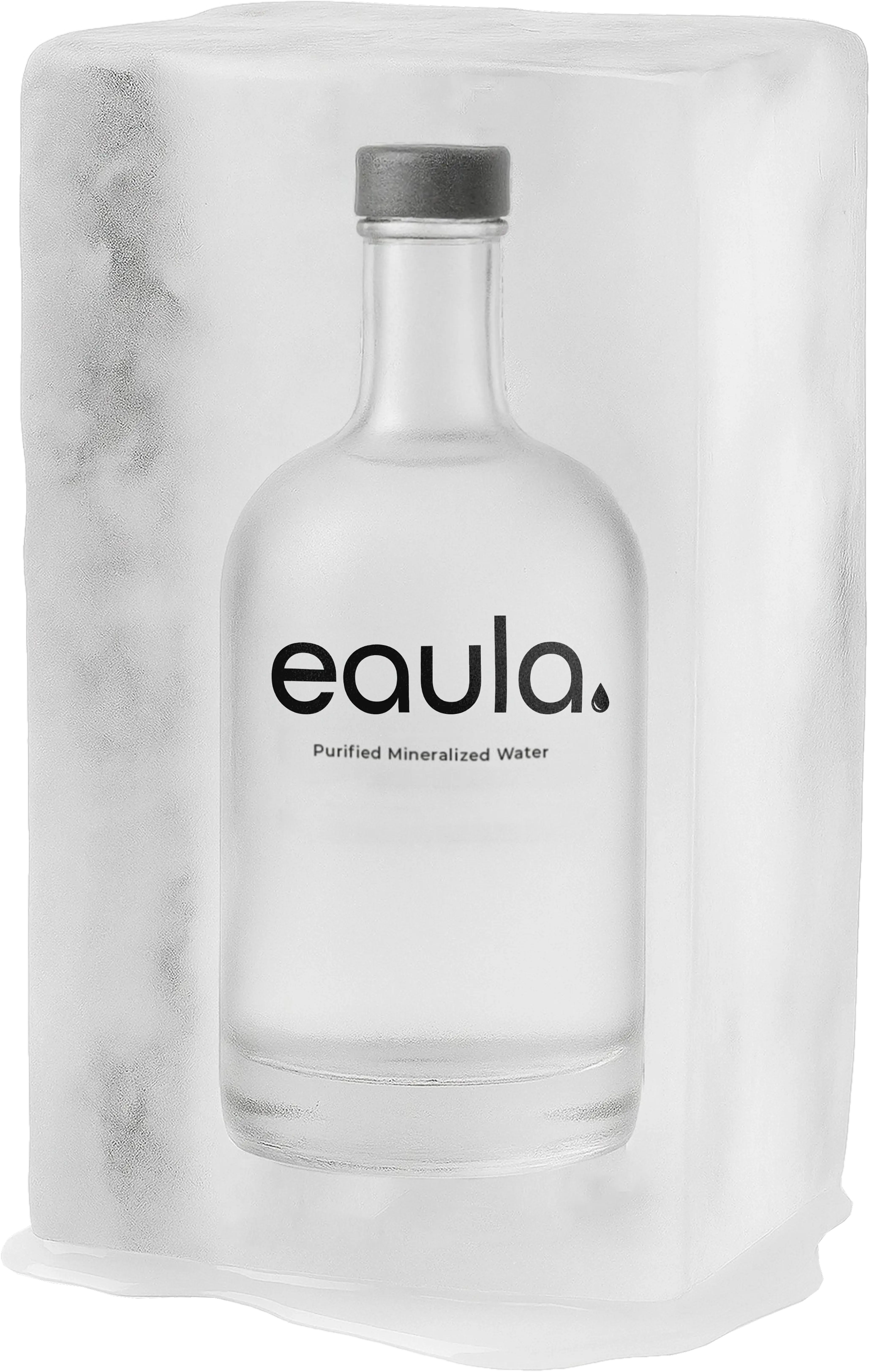 Ice Bottle